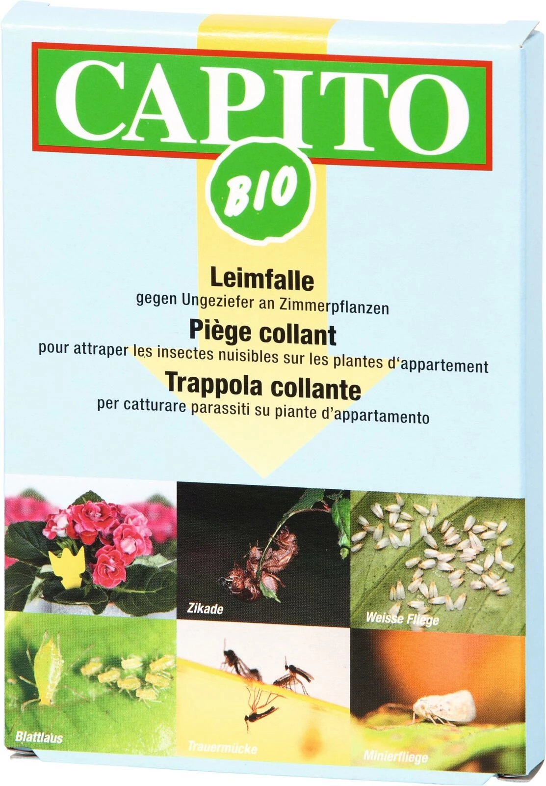 Bandes collantes jaune Capito