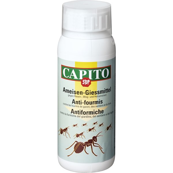Ameisengiessmittel Capito 500 ml