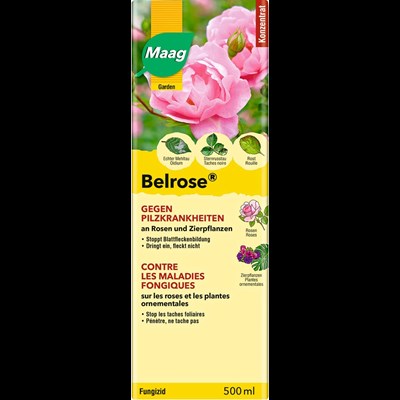 Belrose Pilzkrankheit Maag 500 ml