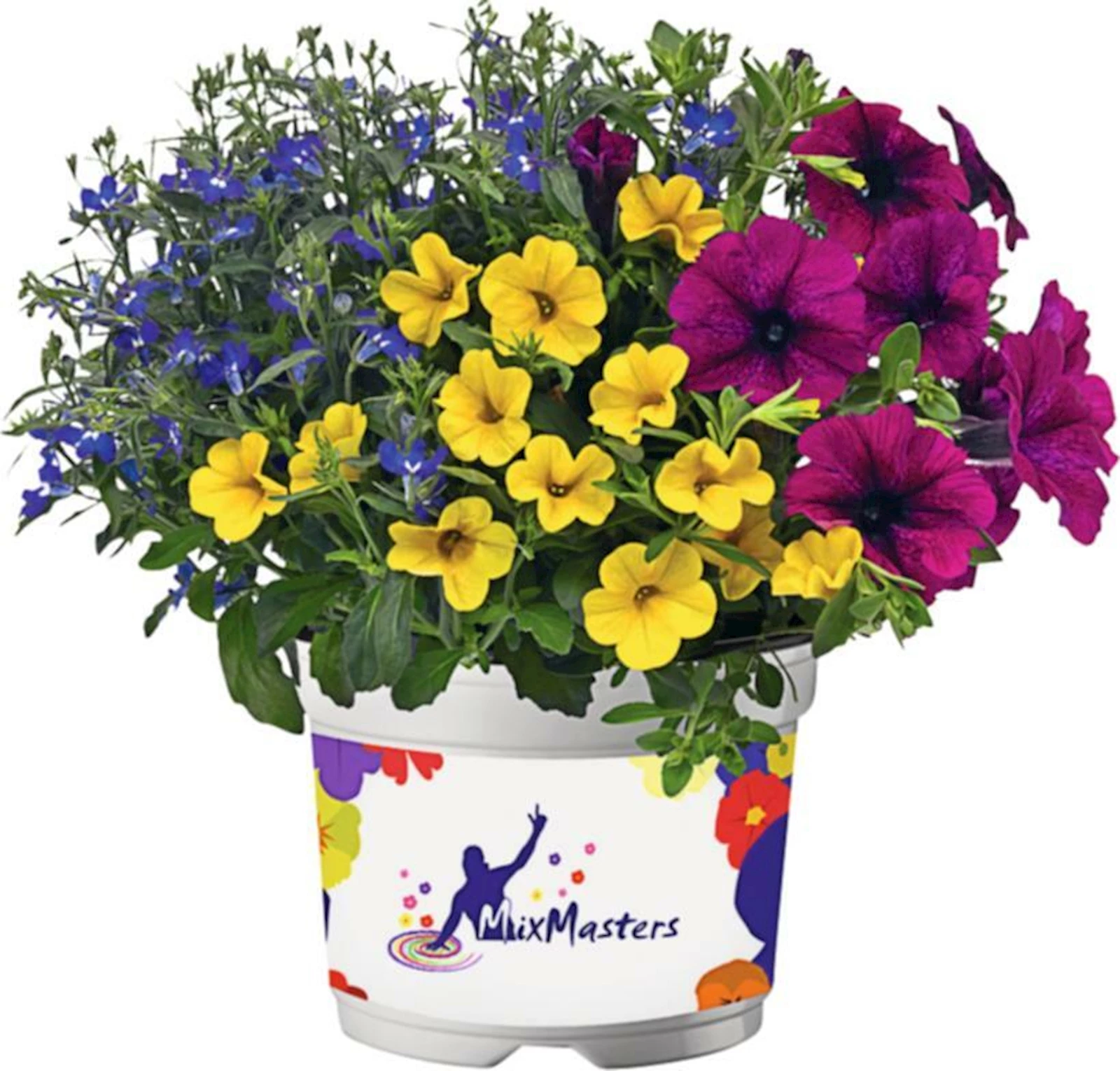 Multi species Suisse Mix P14 cm