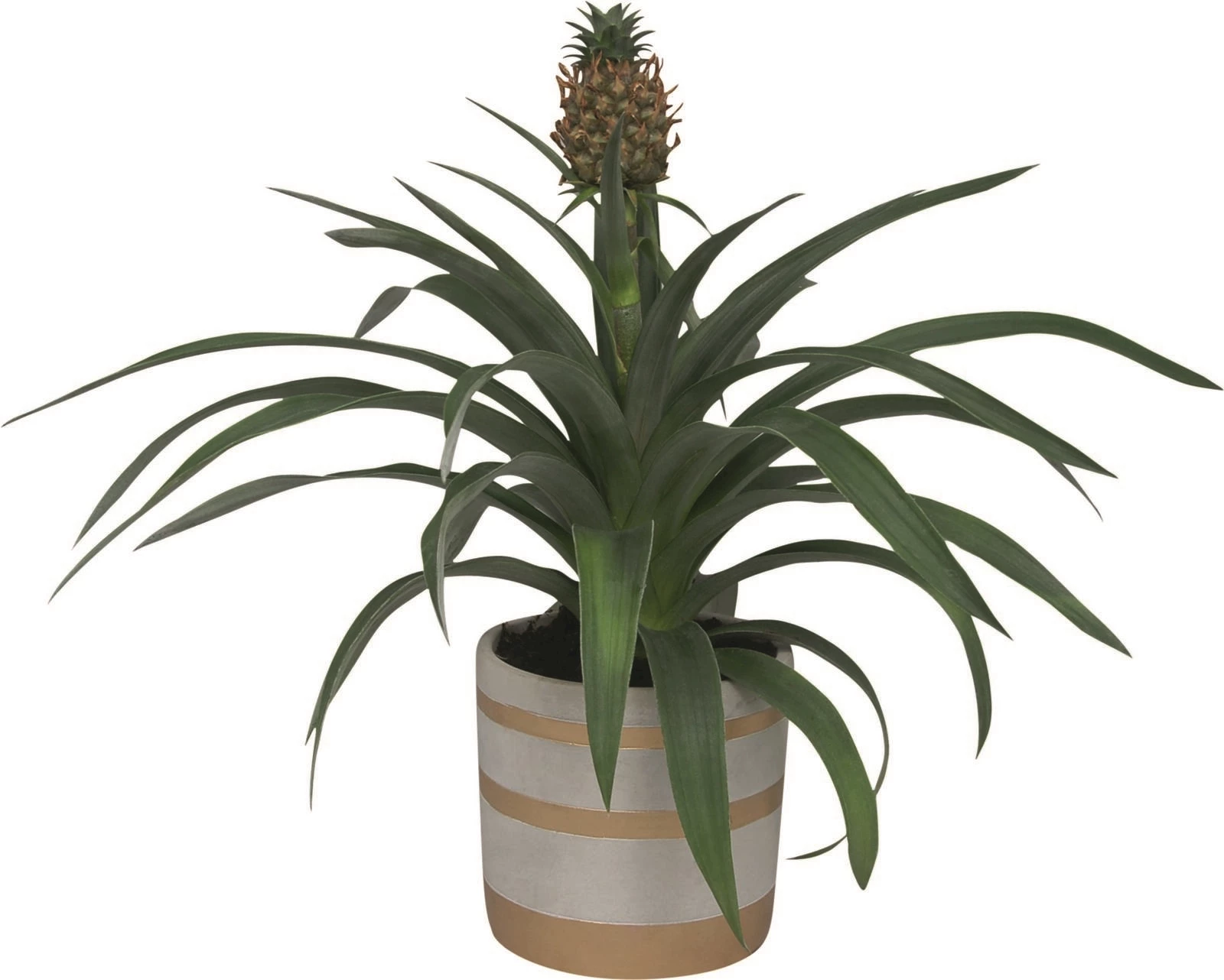 Ananas in Betonoptik P13 cm