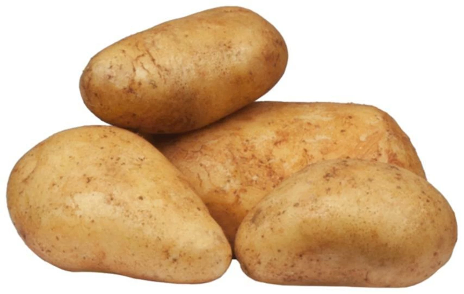 Pdt de semence Bintje 2,5 kg