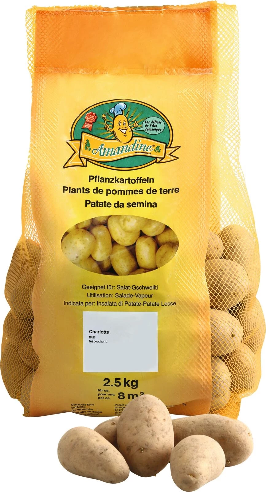 Pdt de semence Charlotte 1 kg