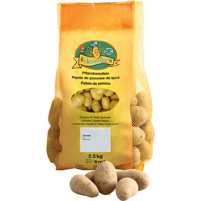 Saatkartoffeln Charlotte 1 kg
