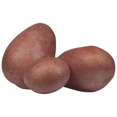 Saatkartoffeln Laura 5 kg