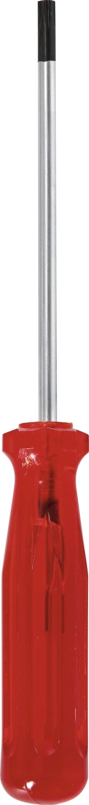 Schraubenzieher Torx T10