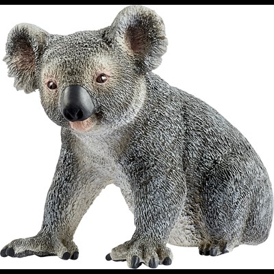 Koalabär Schleich