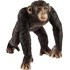 Schimpansen Männchen Schleich