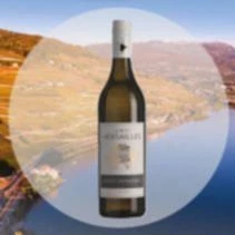 St. Saphorin Petit Ver. 75 cl