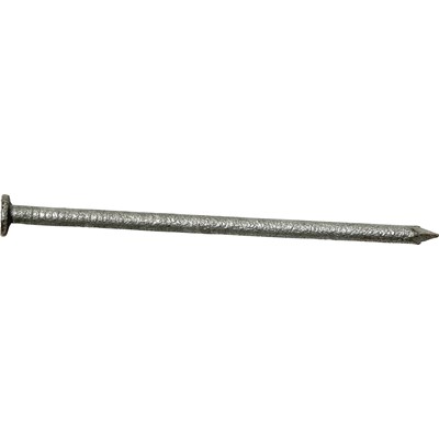 Stifte verzinkt 2,8 × 70 mm, 1 kg
