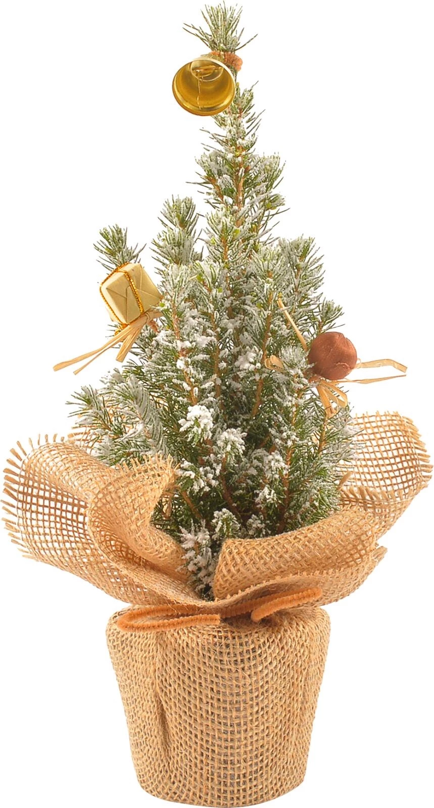 Picea glauca in Jute P9 cm