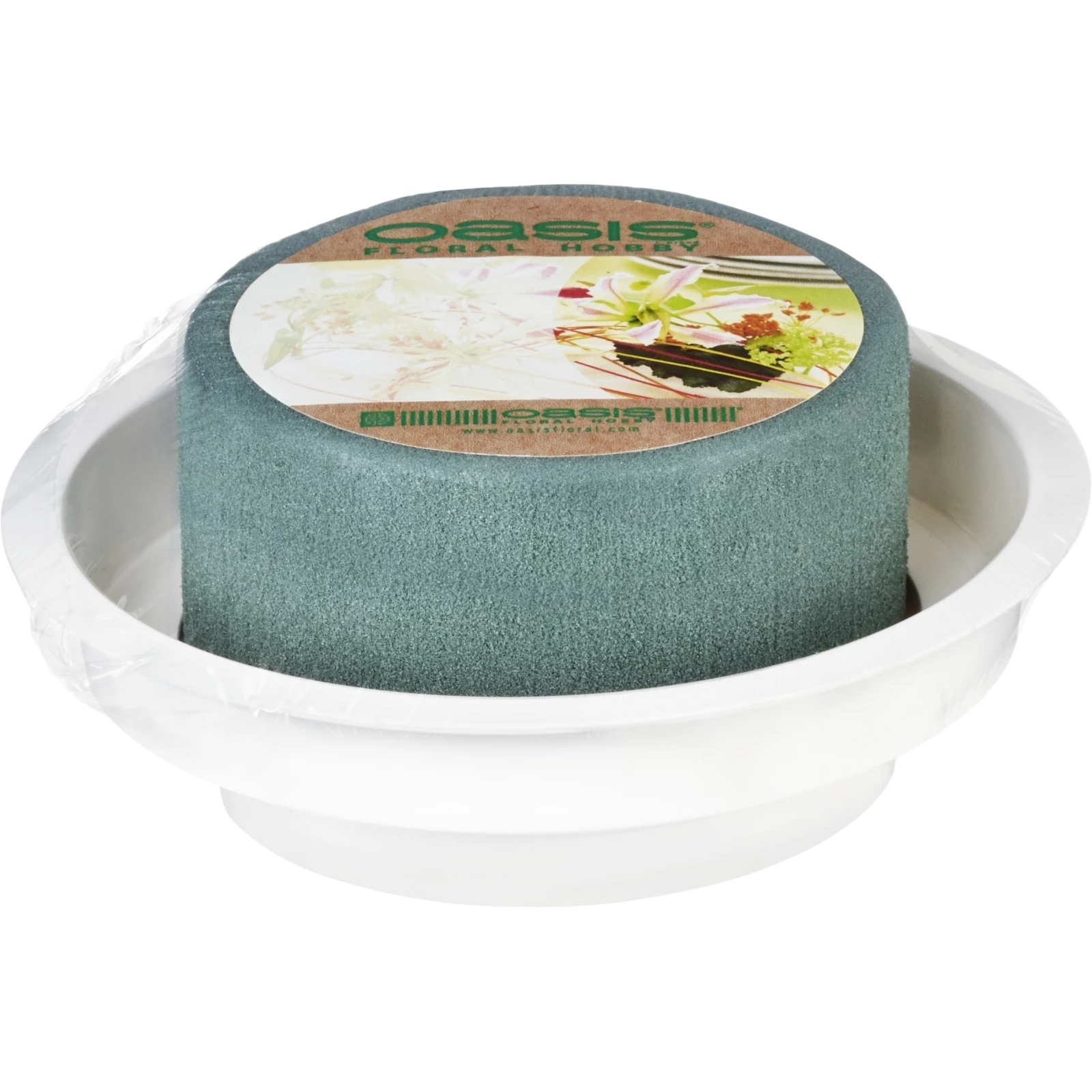 Steckschwamm-Rondellen 8 cm kaufen - Bastelbedarf