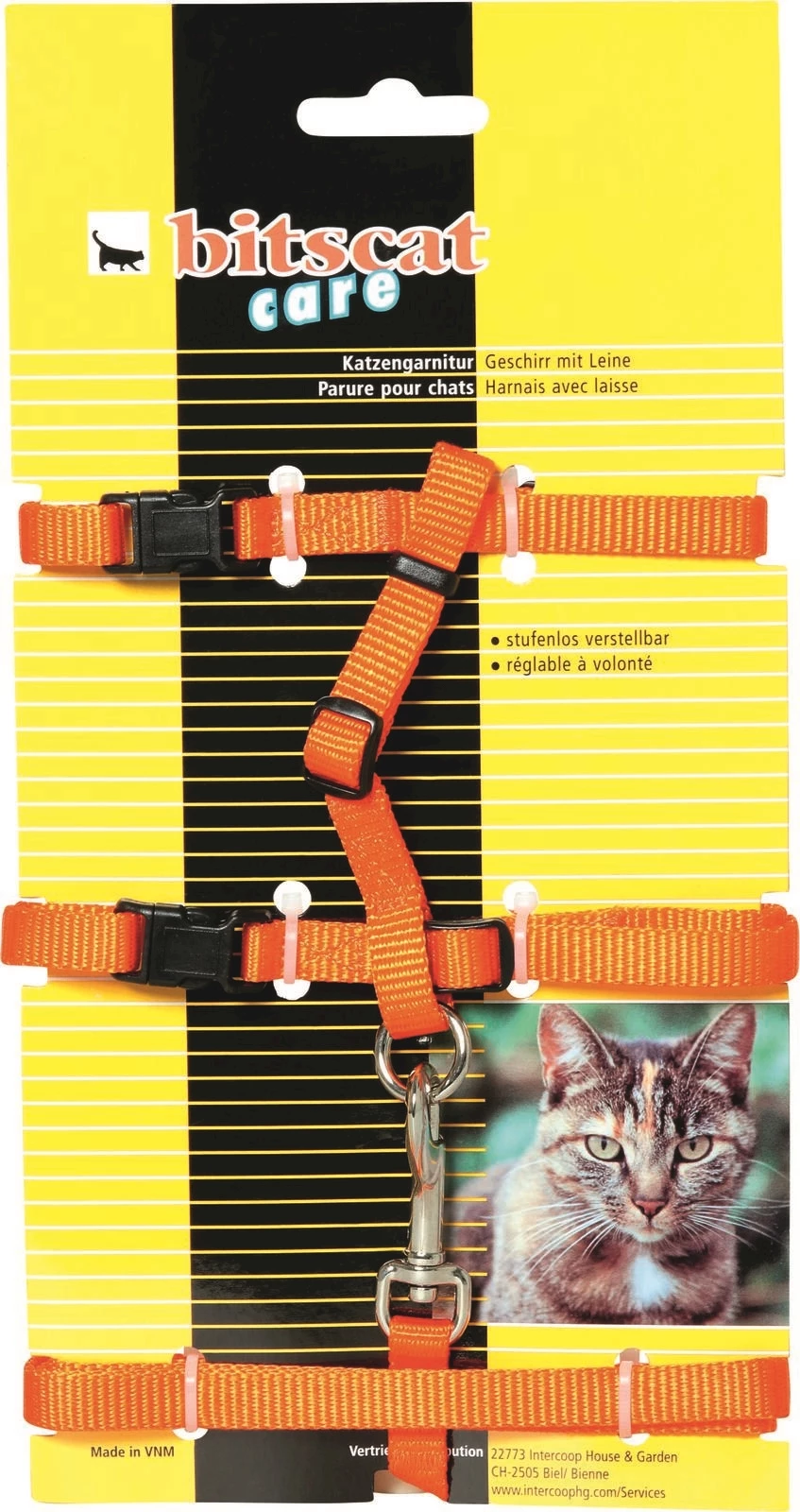 Katzengarnitur orange bitscat