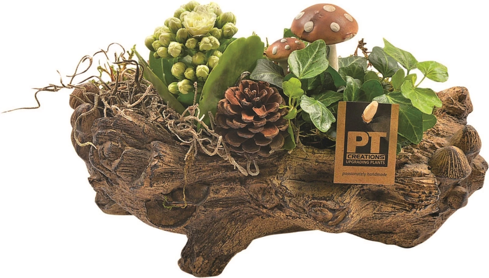 Arrangement optique bois P20 cm