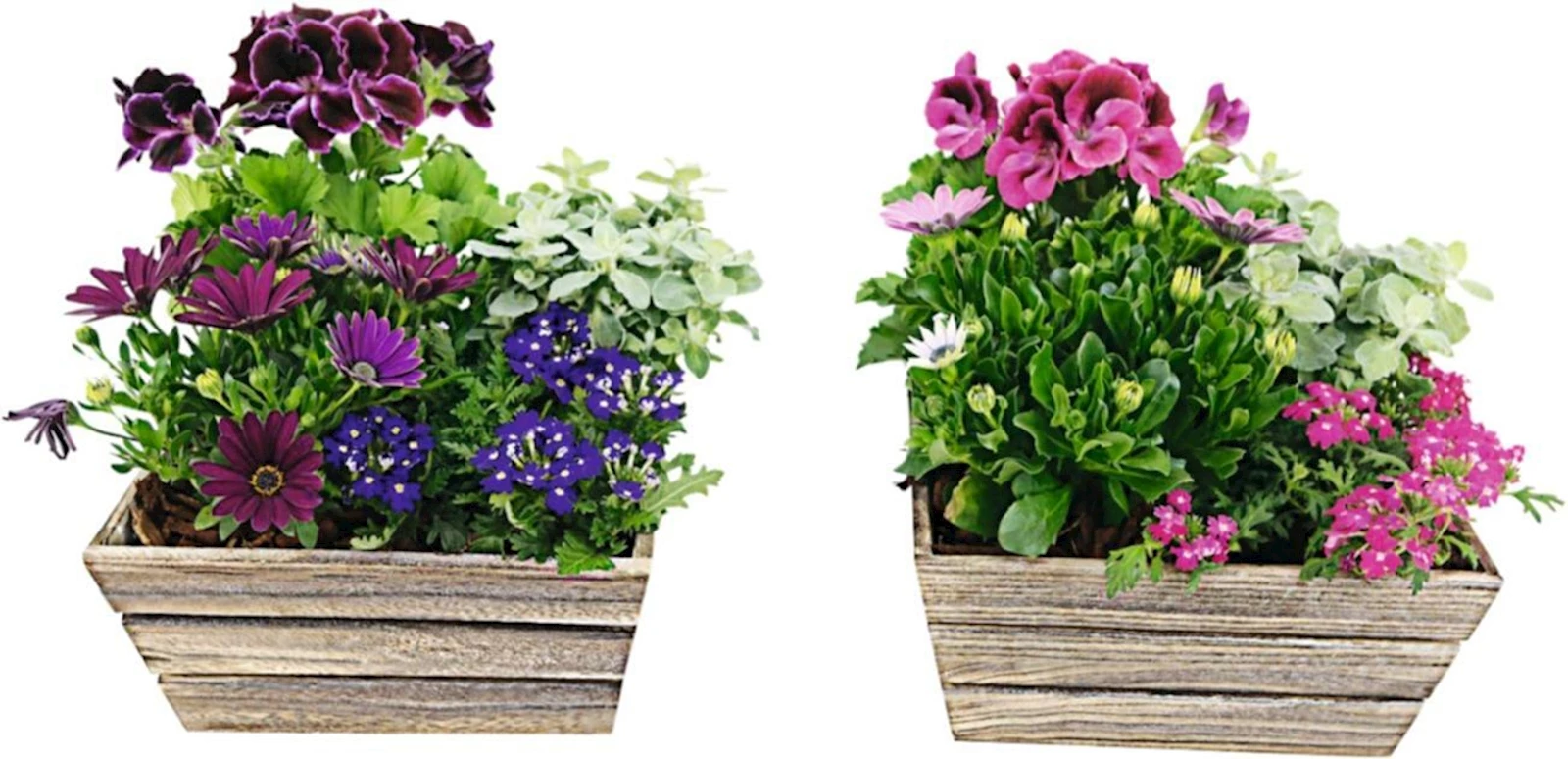 Holztopf bepflanzt P26 cm