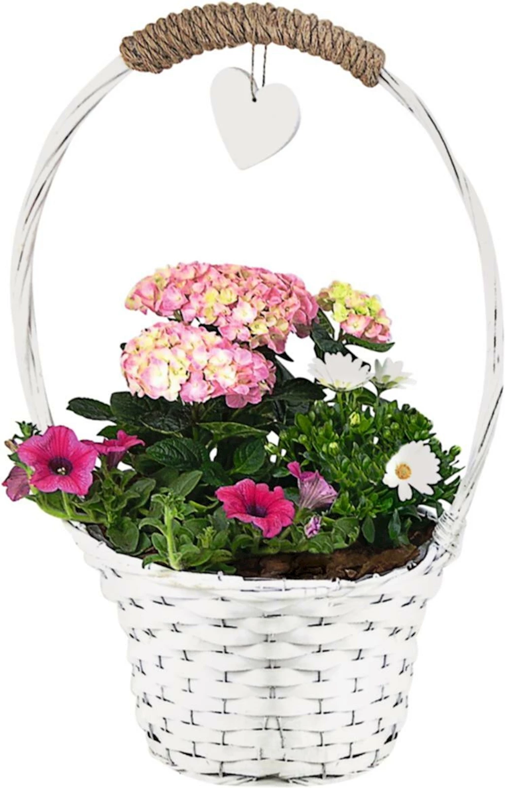 Henkelkorb bepflanzt P30 cm