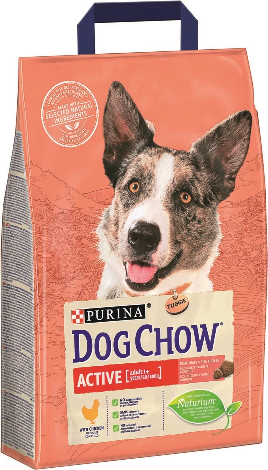 Hundefutter Active 2,5 kg DogChow