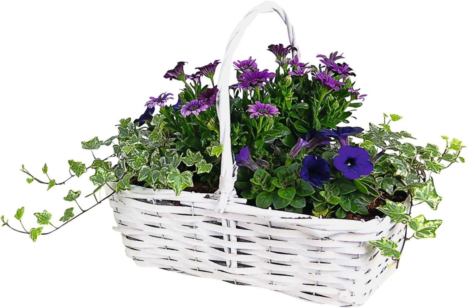 Henkelkorb bepfl. P35x22 cm