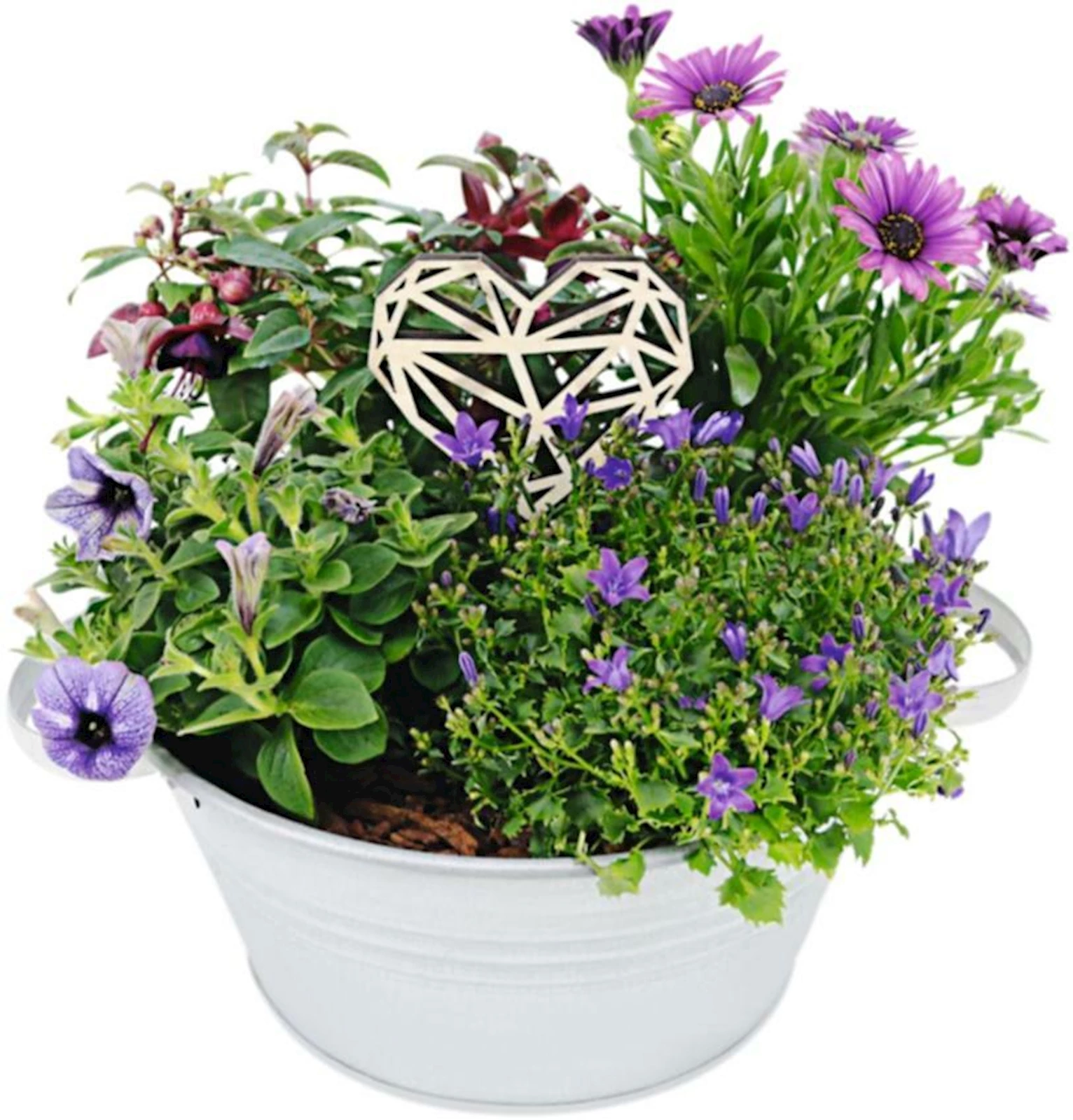 Zinktopf bepfl. P27 cm