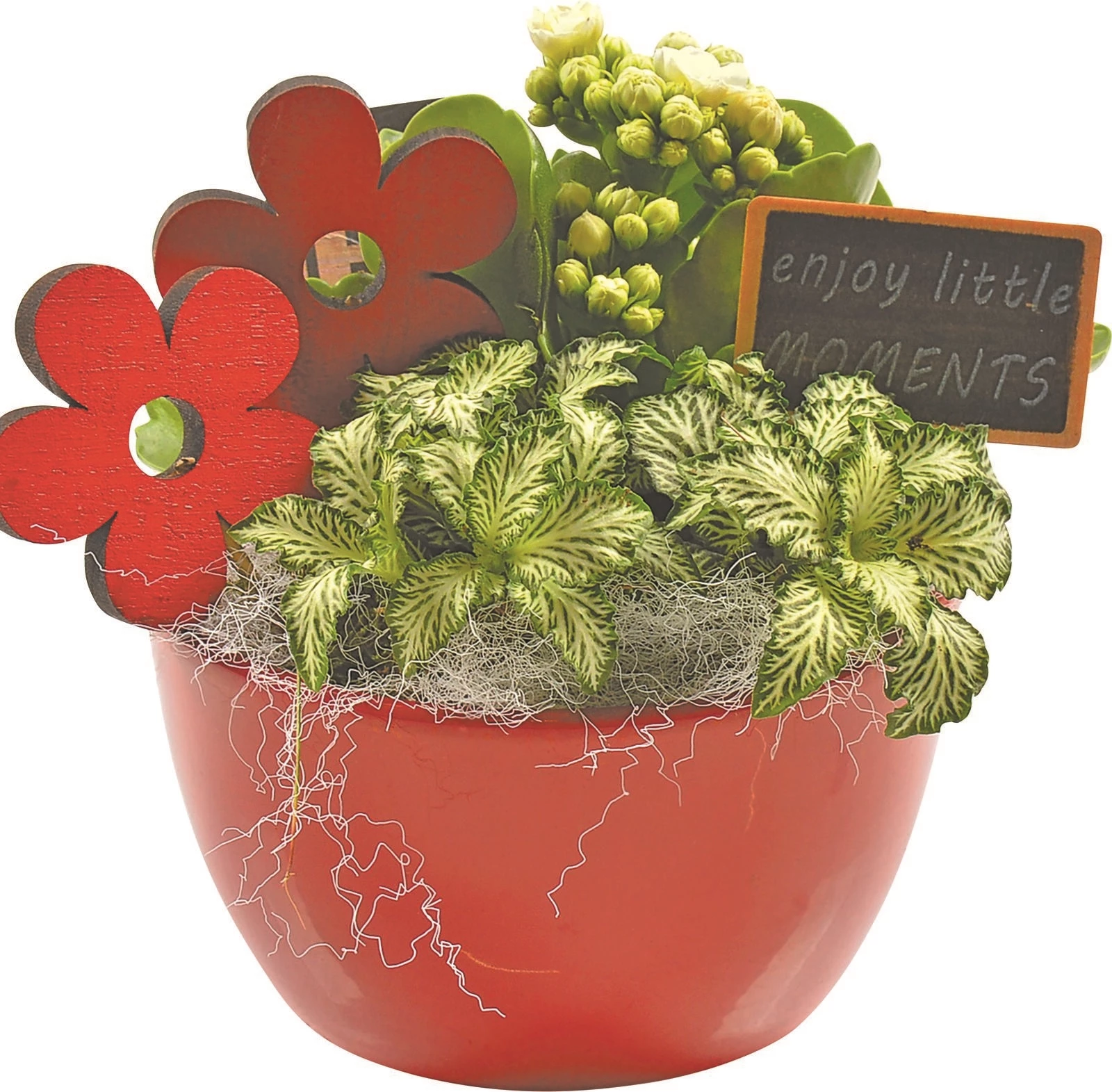 Arrangement Keramik bepfl. P19 cm