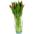 Tulipes Suisse bouquet de 10 pcs