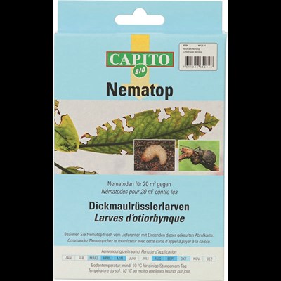 Carte d'appel Nematop