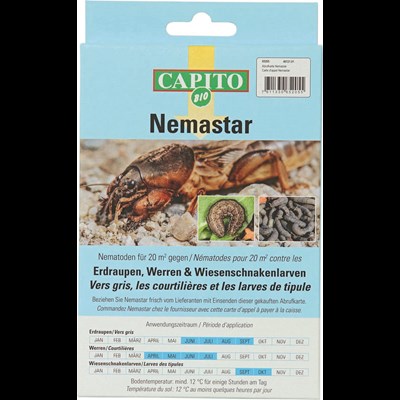 Carte d'appel Nemastar
