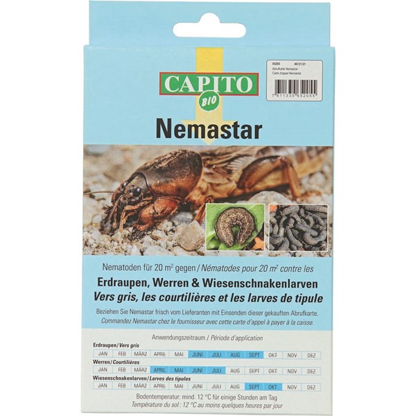 Carte d'appel Nemastar
