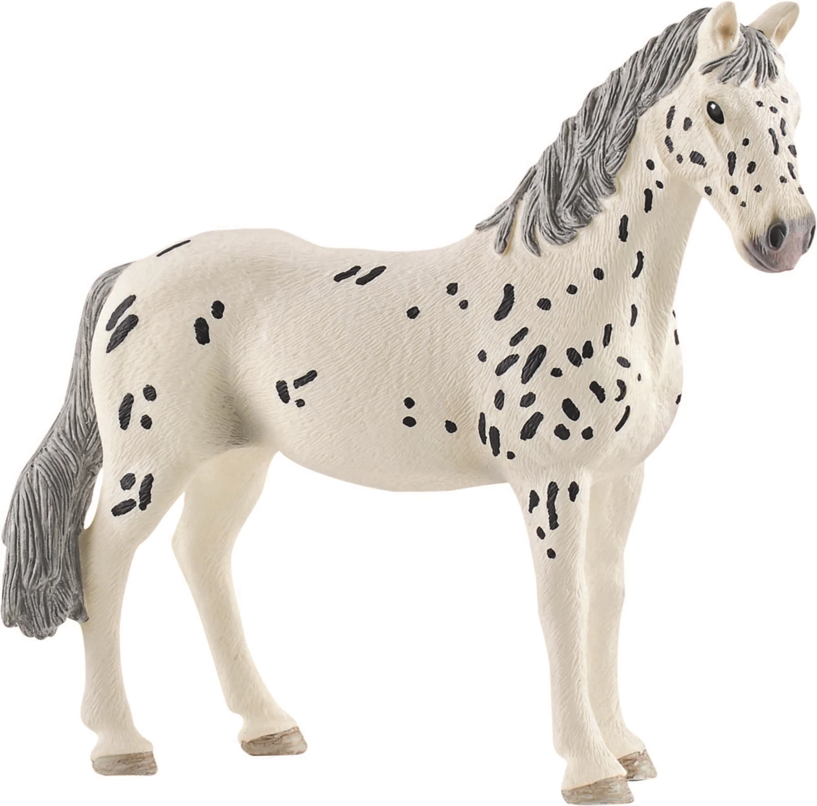 Knabstrupper Stute Schleich