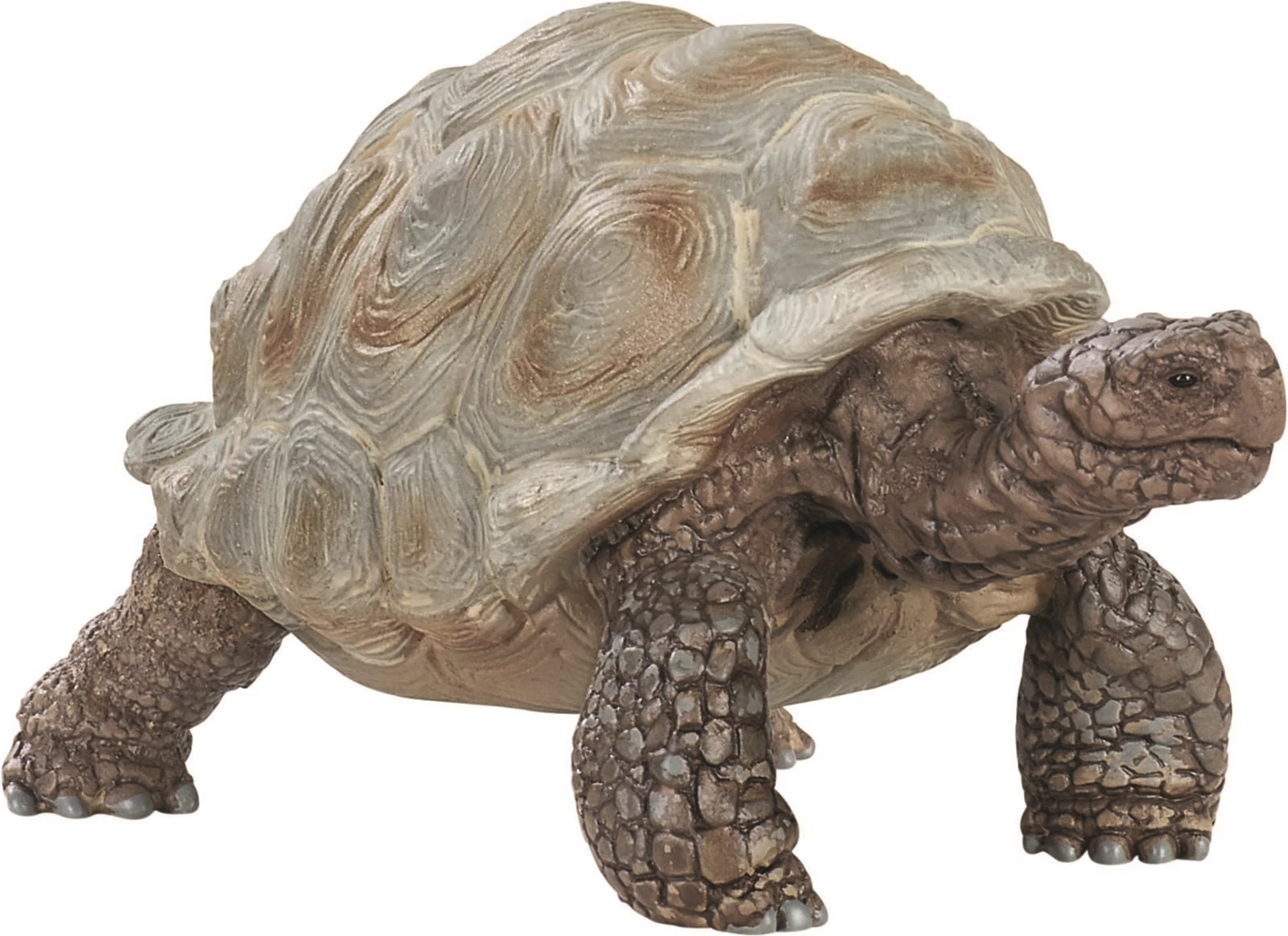Riesenschildkröte Schleich