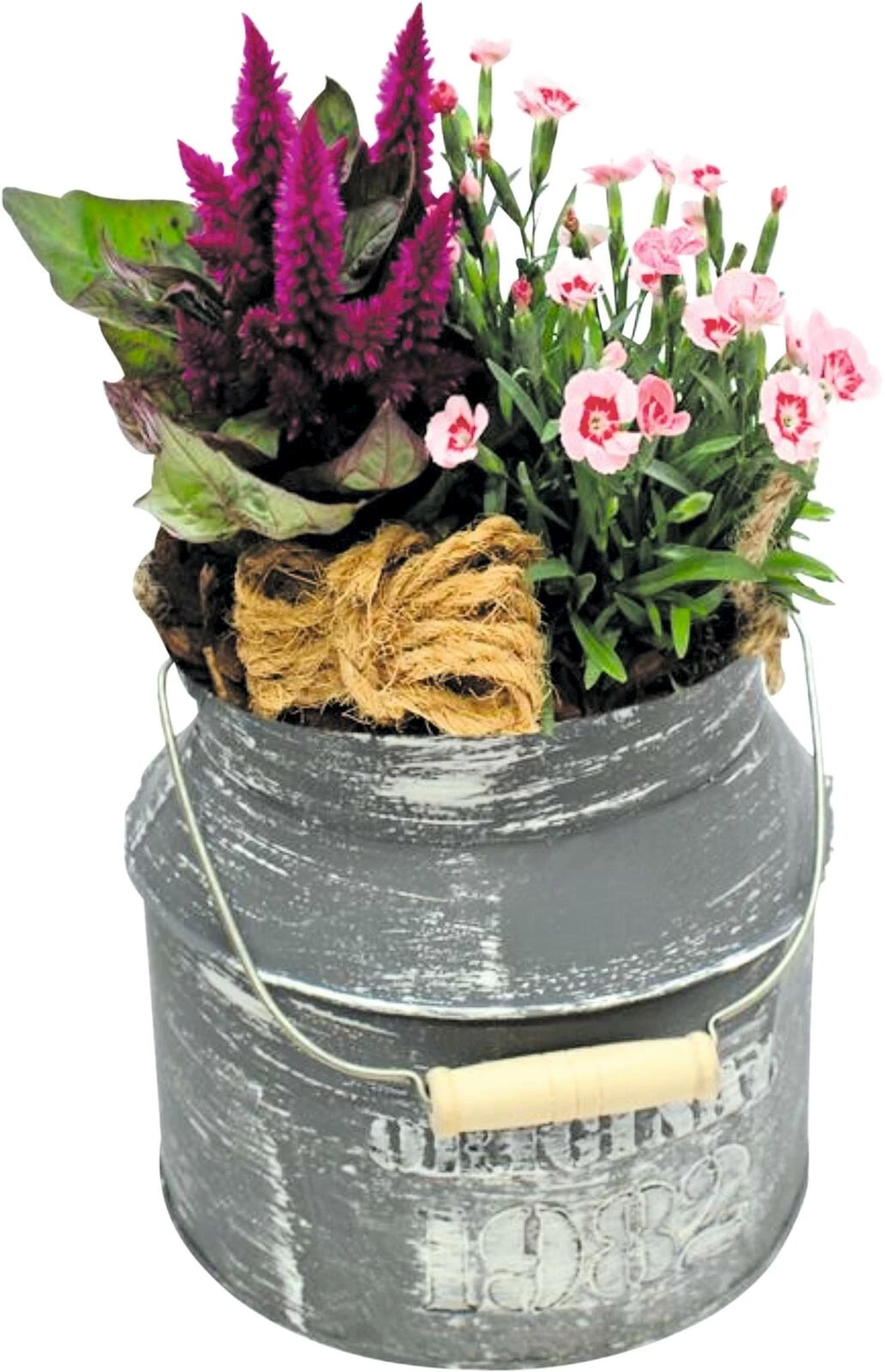 Zinkkanne bepfl.P16 cm