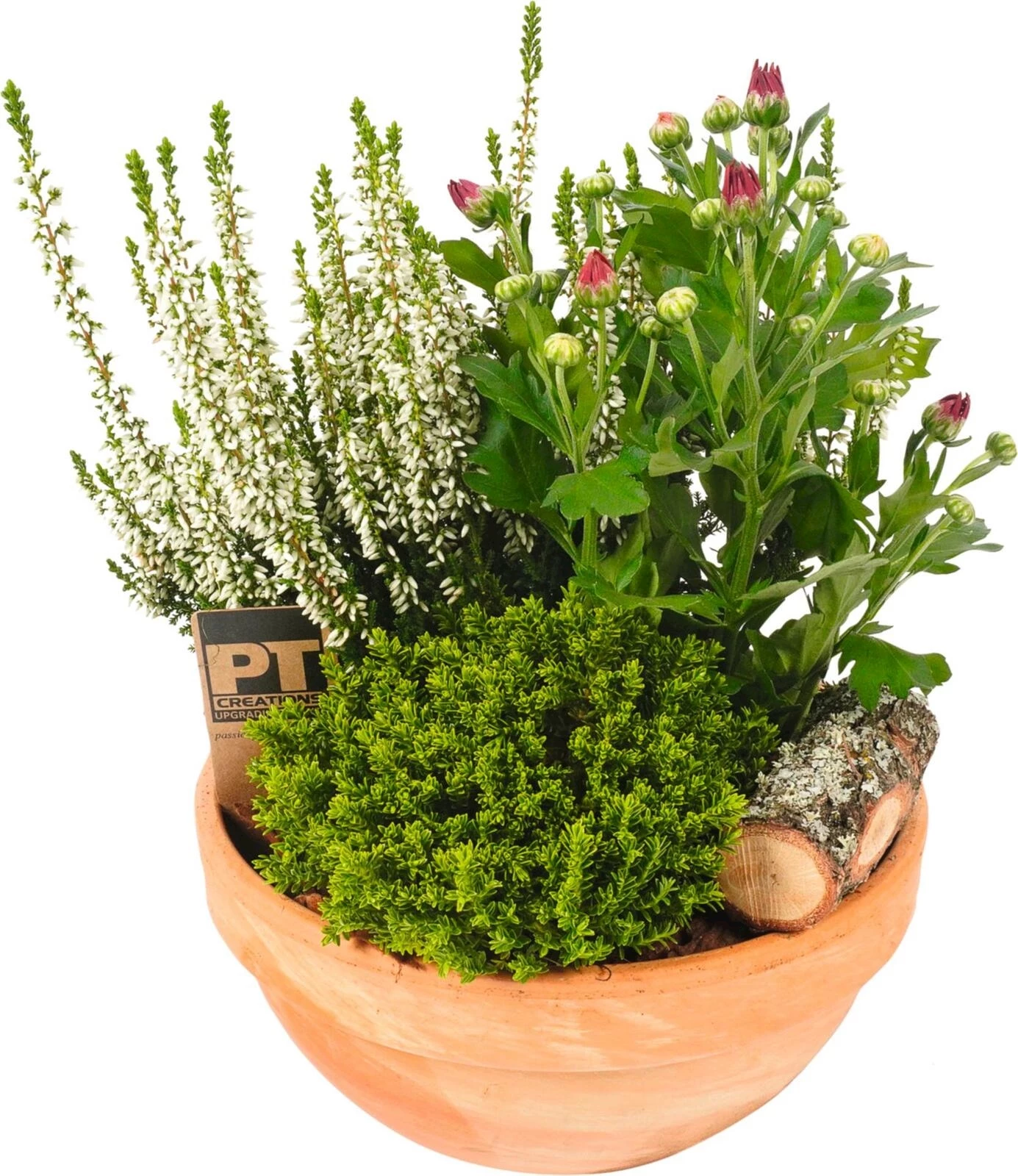 Zinkgefäss 1 bepfl. P19 cm