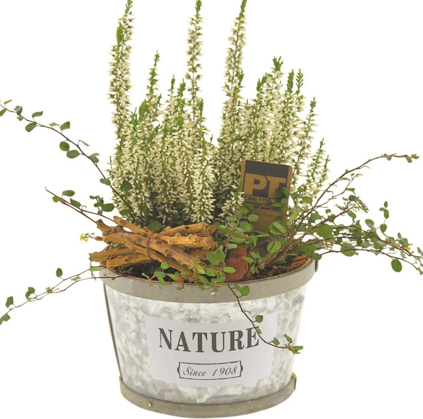 Navire zinc planté P16 cm