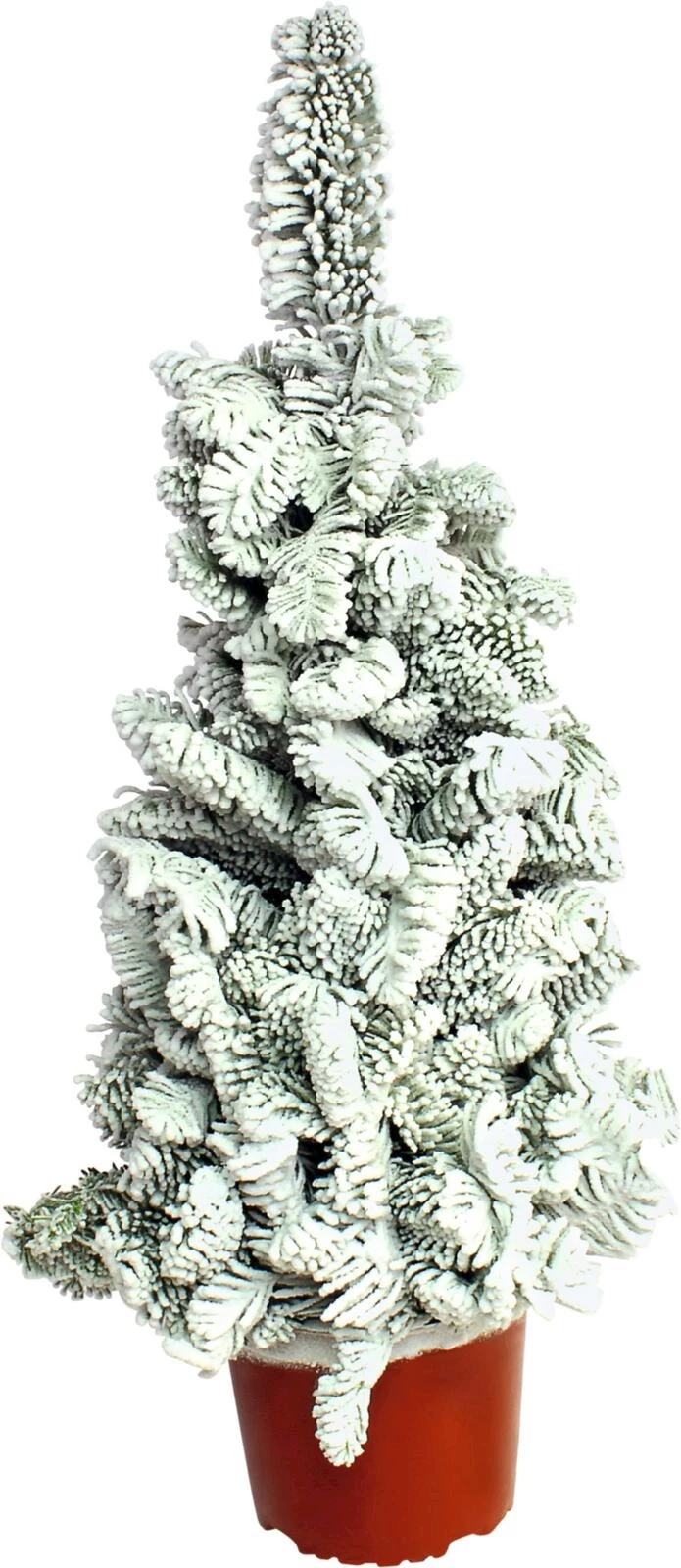 Paraffin Baum P17 cm