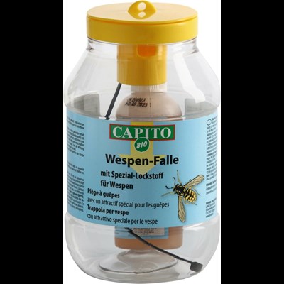 Wespenfalle mit Lockstoff Capito