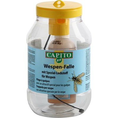 Wespenfalle mit Lockstoff Capito