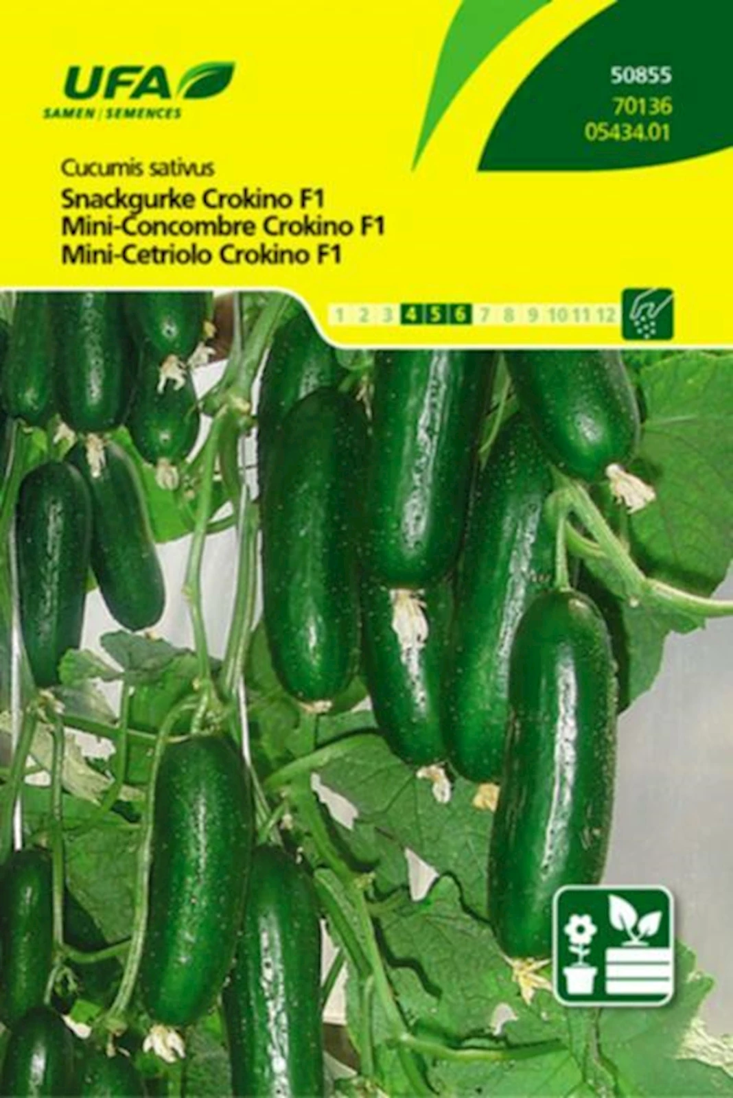 Snack Gurken Crokino F1 UFA