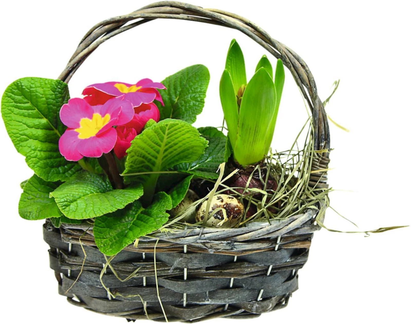 Henkelkorb bepfl. oval  P19 × 11 cm