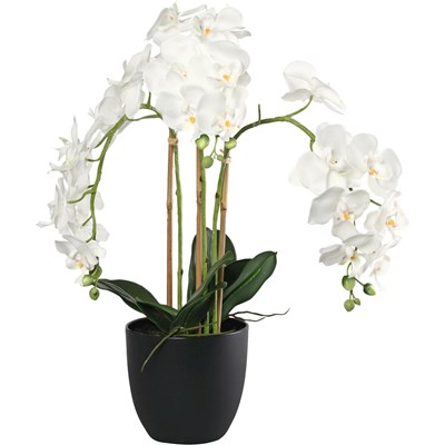 Phalaenopsis  artificiel 3 ti. 80 cm