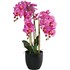 Phalaenopsis künstlich 3  Tr. 80 cm
