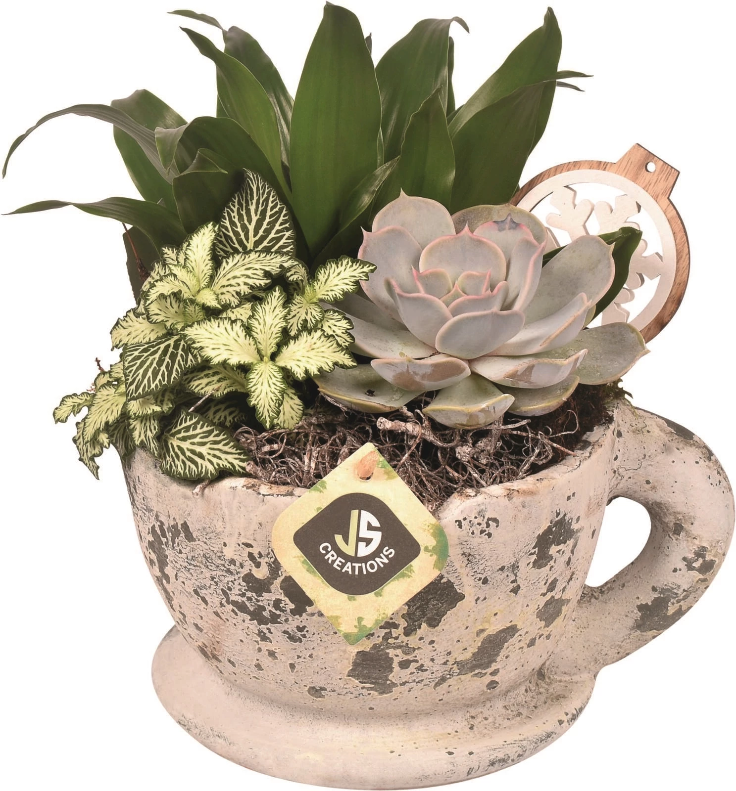 Tasse bepflanzt P22 cm