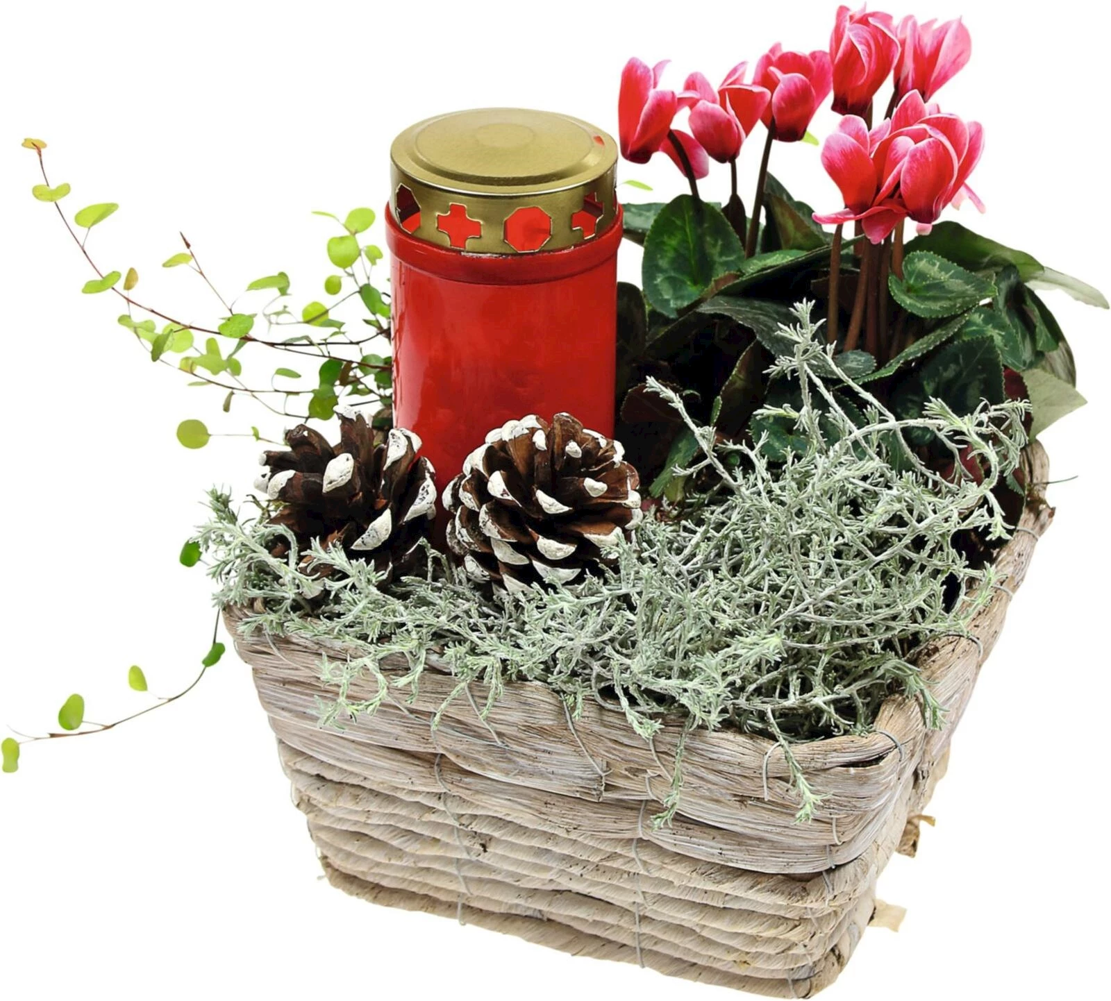 Korbkiste bepflanzt P18x14 cm