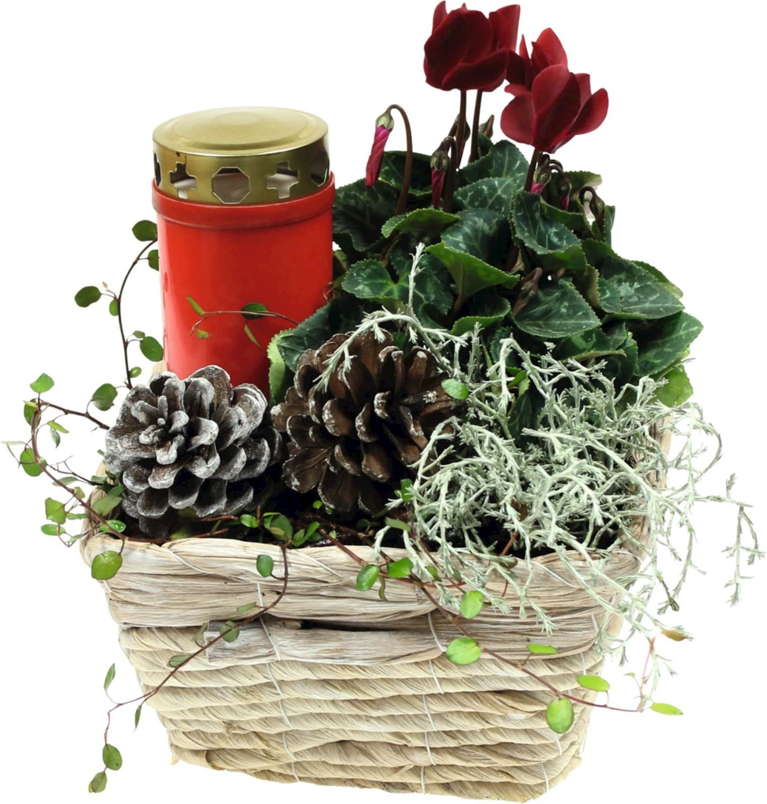 Korb quadro bepfl. P19x19 cm