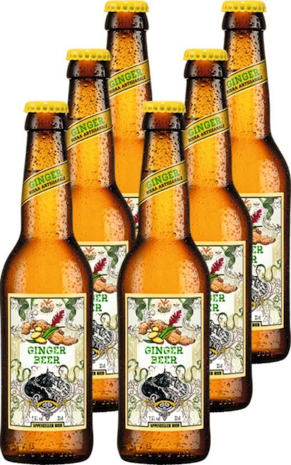 Bier Ginger Appenzeller 6 × 33 cl