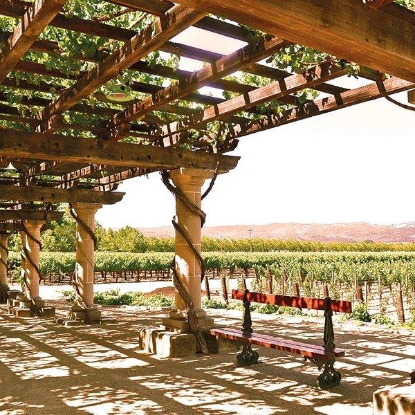 Stone Cruz Cabernet 75 cl