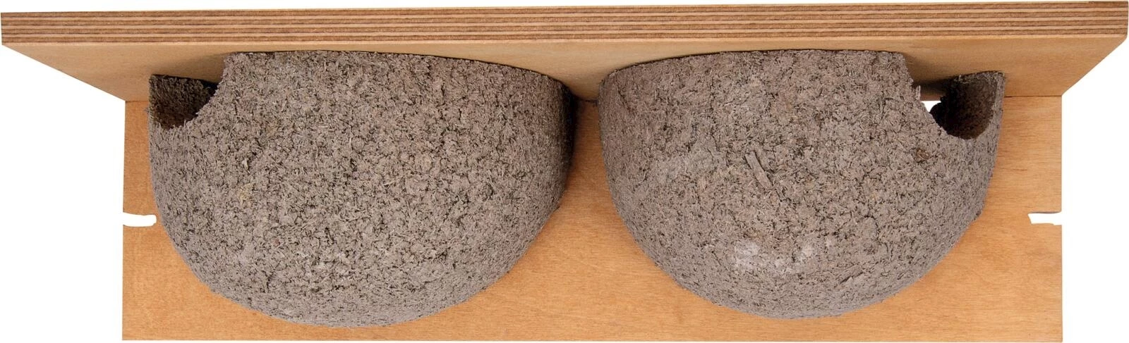 Nest für Mehlschwalben 2 Stück