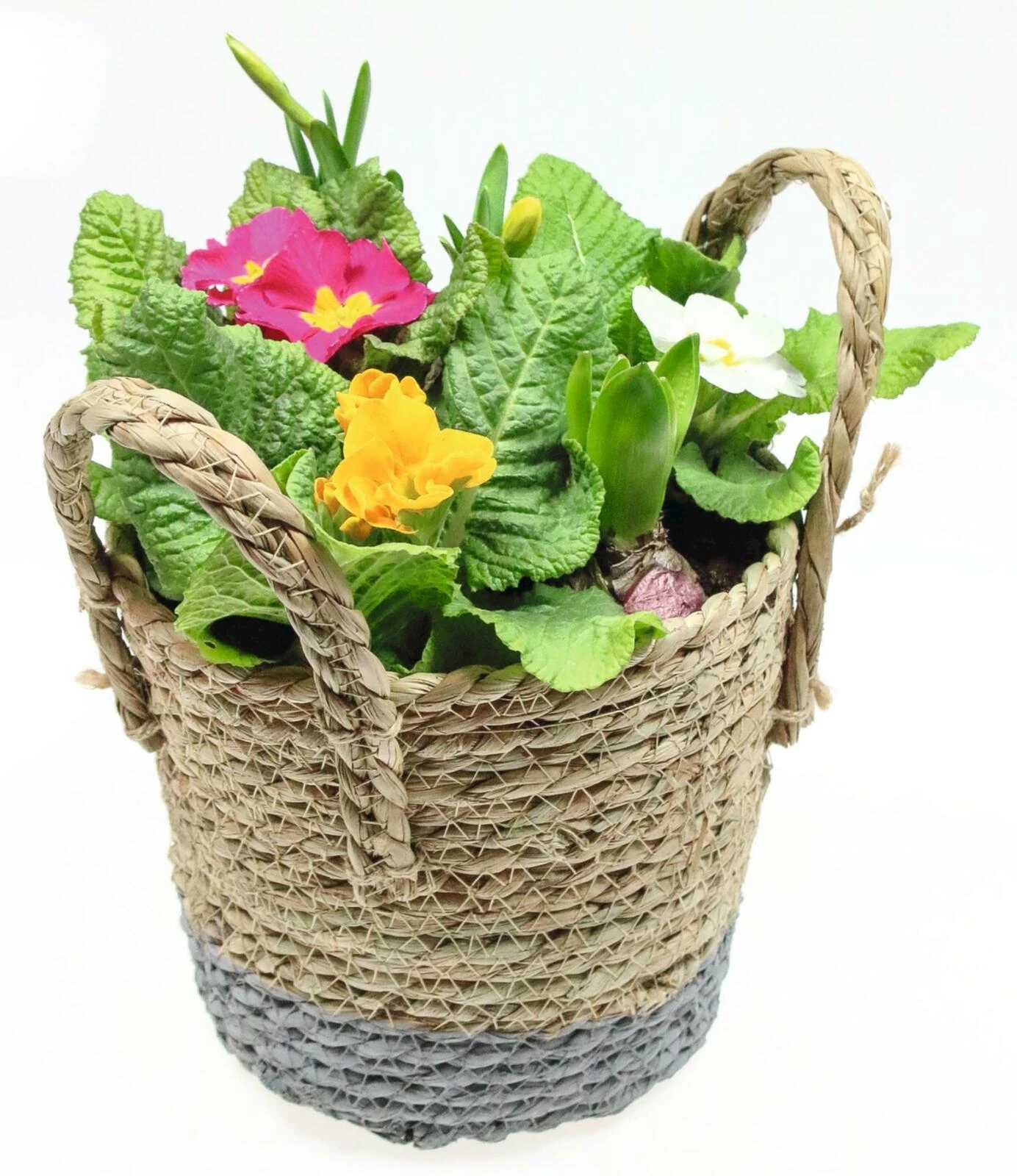 Frühlingskorb bepfl. P19 cm