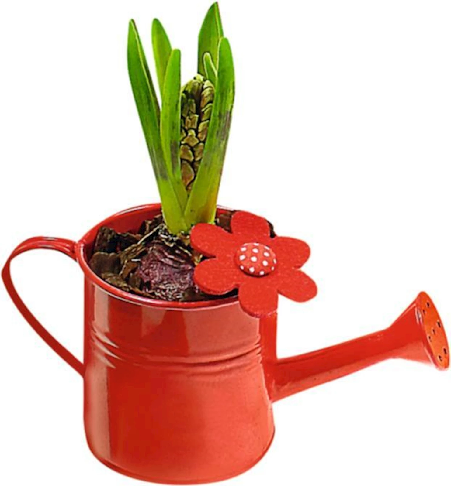 GOWI Mini-Gießkanne – 0,2 L Fassungsvermögen – 12 X 8 X 6,5 Cm – Als Geschenk Oder Osternest-Füllung – Farbwahl Zufällig