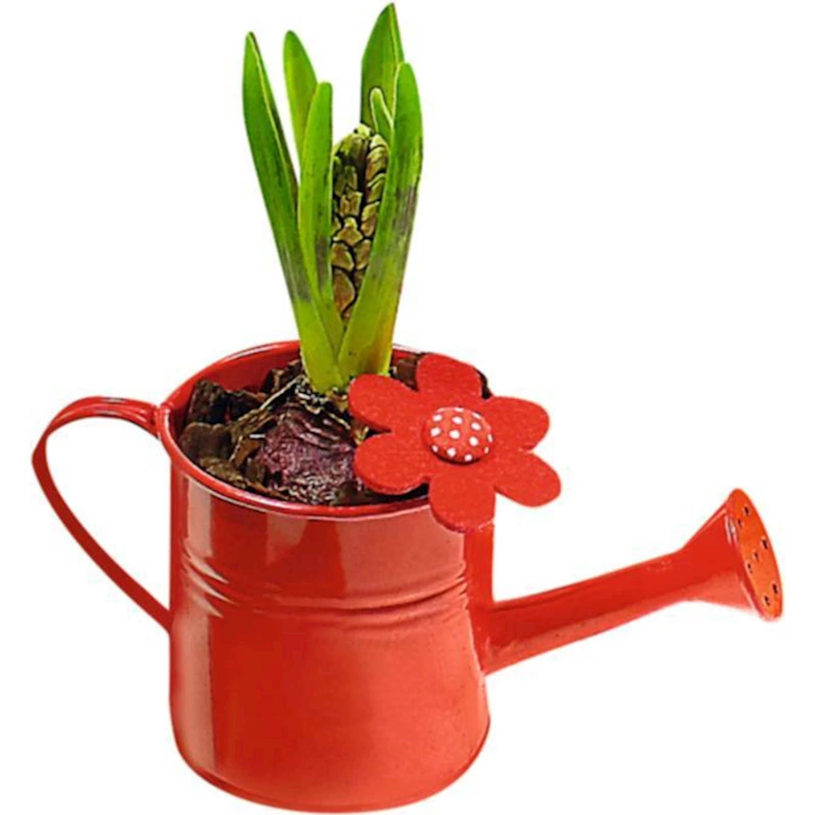GOWI Mini-Gießkanne – 0,2 L Fassungsvermögen – 12 X 8 X 6,5 Cm – Als Geschenk Oder Osternest-Füllung – Farbwahl Zufällig