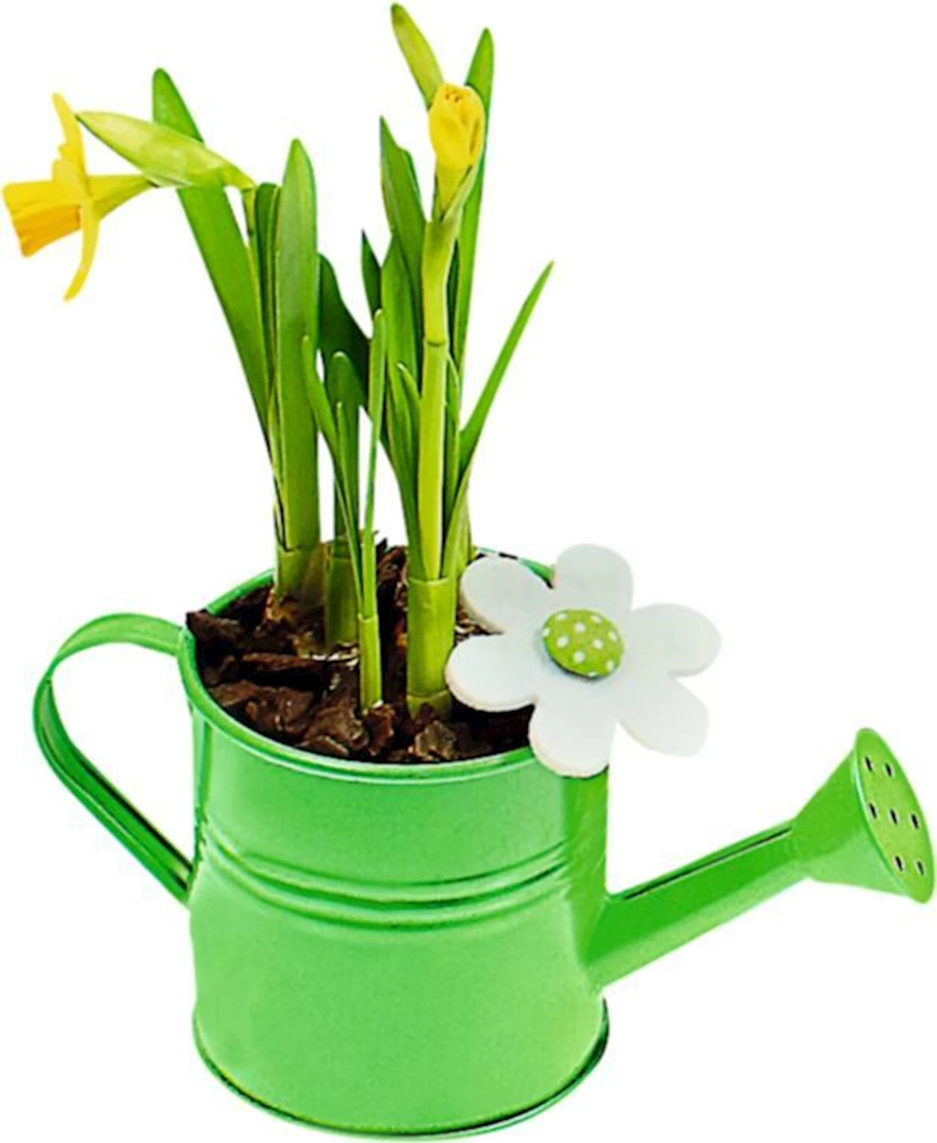 Mini Giesskanne bepfl. P18x8 cm